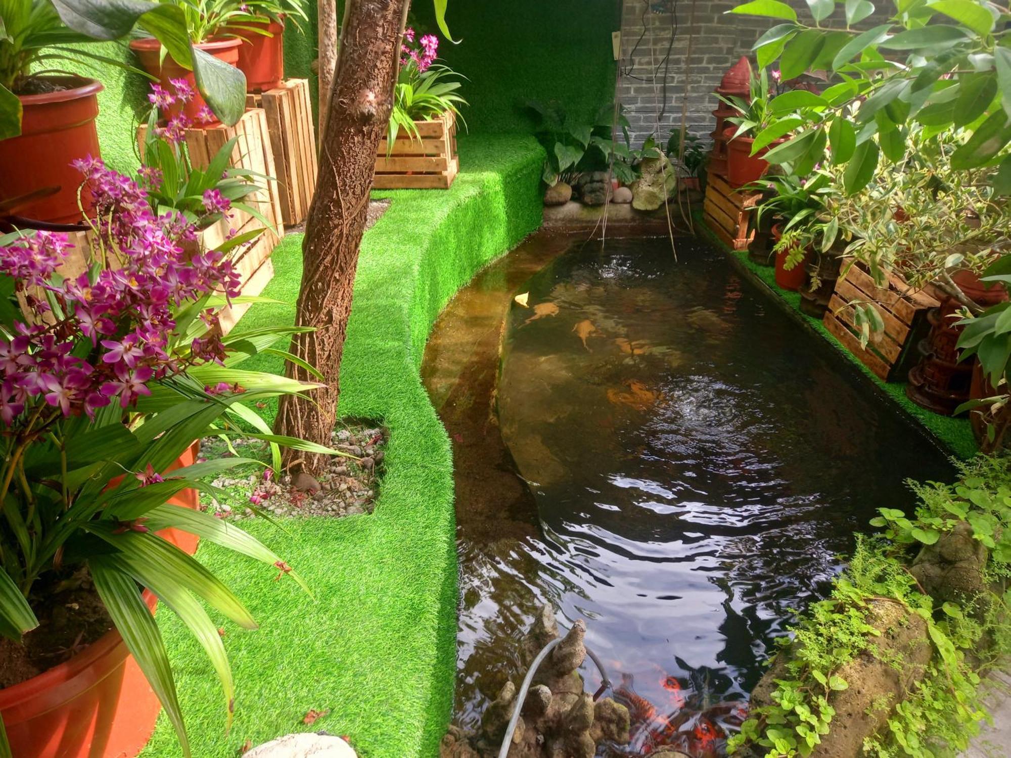 Hidden Tourist Homestay *