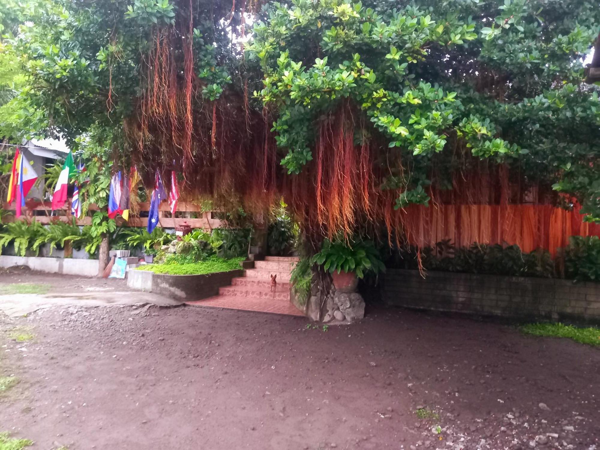 Hidden Tourist *